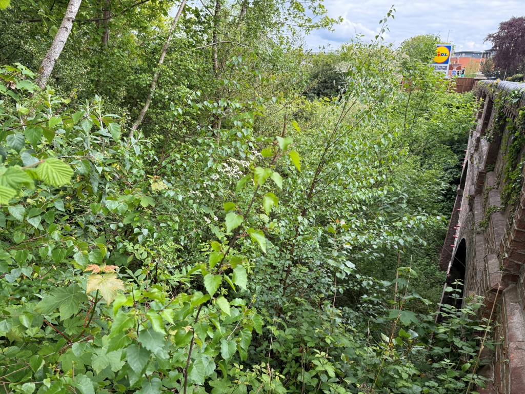 Lot: 38 - 1.6 ACRES OF FORMER RAILWAY LAND WITH POTENTIAL - View across land from road bridge